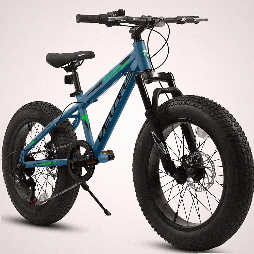 20" Fat Tire Bike, 7-Speed Shimano, Dual Disc Brakes, Front Suspension