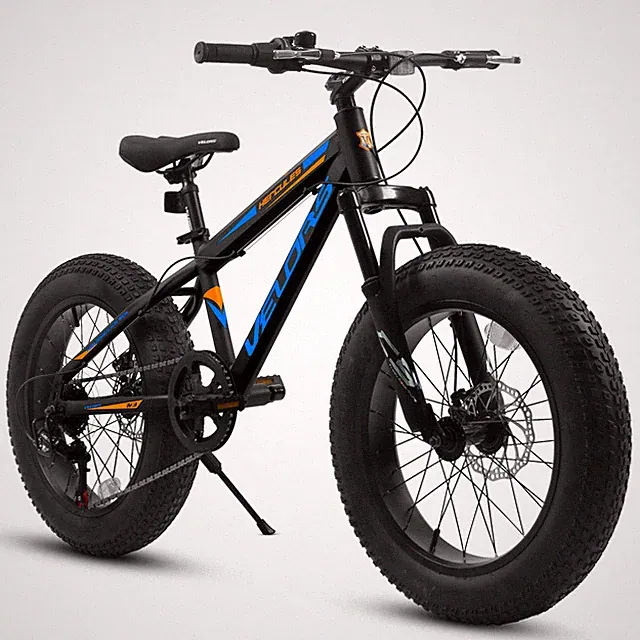 V20235 20 Inch Fat Tire Bike 7 Speed Mountain Bike, Dual Disc Brakes, High Carbo